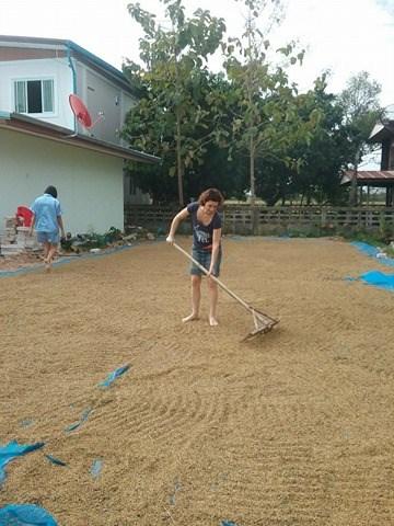 Volunteering005.jpg